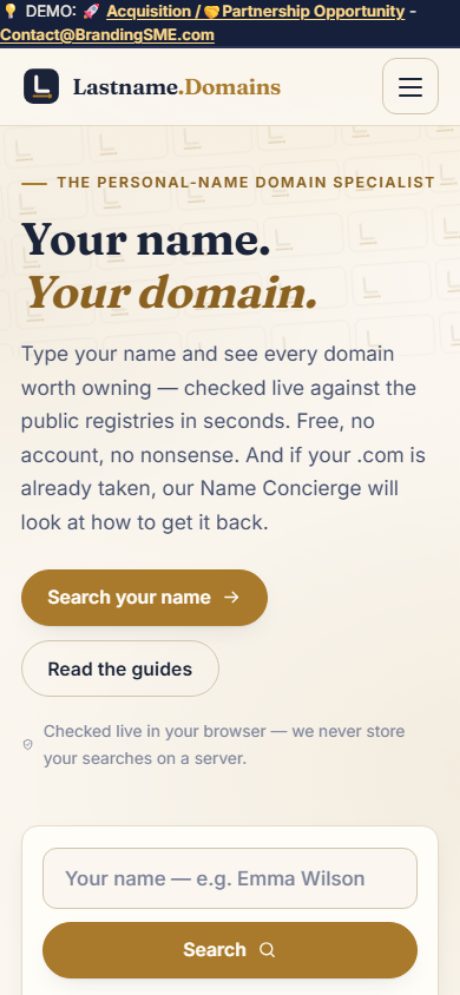 Phone screenshot of the Lastname Domains home screen with the search tool and example chips.